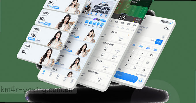 APP图片访问功能说明